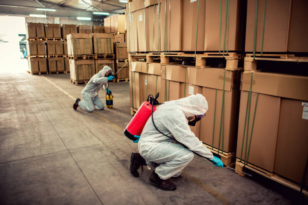 Best Pest Prevention Services  in Curwensville, PA