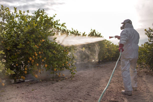 Best Wildlife Control Services  in Curwensville, PA