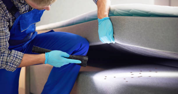 Best Mosquito Control Services  in Curwensville, PA