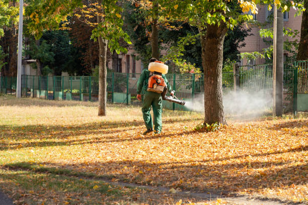 Best Best Pest Control Companies  in Curwensville, PA