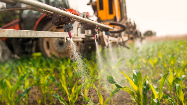 Professional Pest Control in Curwensville, PA